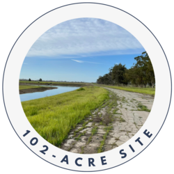 102-Acre Site: Opportunities and Constraints Analysis thumbnail icon